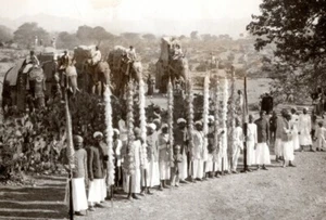India Udaipur Prince of Wales Visit Reception Elephants old Press Photo 1920's - Picture 1 of 4