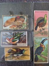 Vintage Mecca Cigarettes Pack Cards 1910 Plumage Birds Set of 5 Cards