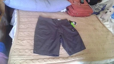 NWT Volcom True to This Repreve Shorts Size 30 Dark Gray 4-pocket Modern Fit - Image 1 of 4