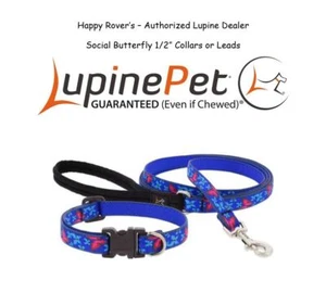 Collares o correas Lupine Lifetime para perro - 1/2" - MARIPOSA SOCIAL - Imagen 1 de 8