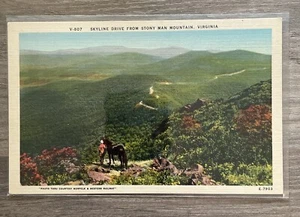 Linen Postcard Skyline Drive from Stony Man Mountain, VA horseback Virginia - Picture 1 of 2