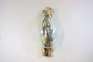 Wandvase Vase Blumengefäß Blumenvase Glas Wurzelholz Teakholz Unikat (RE290) - Bild 1 von 7