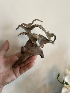 Vtg MCM Brutalist Birds in Flight Brass Art Sculpture Wood Base Seagulls - Picture 1 of 5