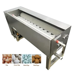 110V 1HP Stainless Steel Semi-Automatic Egg Washer for110 Eggs, Duck, Goose Eggs - Picture 1 of 21