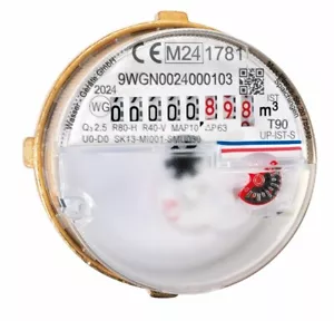 Wasserzähler Unterputz Messkapsel Kaltwasser Warmwasser 2 Zoll Koax - Bild 1 von 5