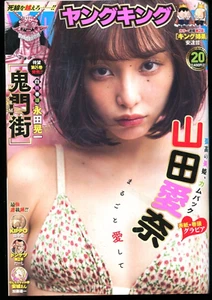 Japanischer Manga Young King 2023 Vol.20 Aina Yamada Karma 240506 - Bild 1 von 24
