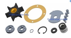 Major Repair Kit Fits Onan Water Pump 131-0257 170-3172 131-0386 MDJE 6.0 7.5 KW - Picture 1 of 1