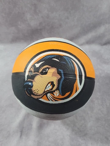 Tennessee Volunteers NCAA Officially Licensed Mascot Basketball Y2K Cover