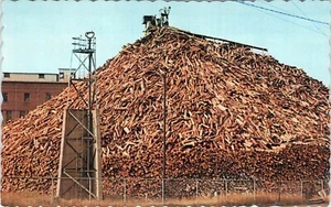Woodpile Maine M-1009 Postcard Unposted - Picture 1 of 2