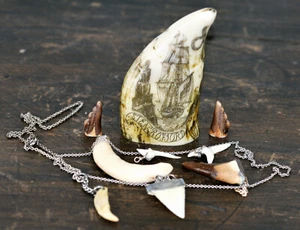 Antiker Scrimshaw Pottwal Zahn Replik sowie Konvolut  usw. - Bild 1 von 8