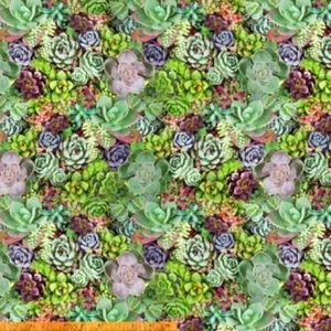 Fabric Succulents Real Full Windham Cotton 1/4 Yard 50908-X - Picture 1 of 5