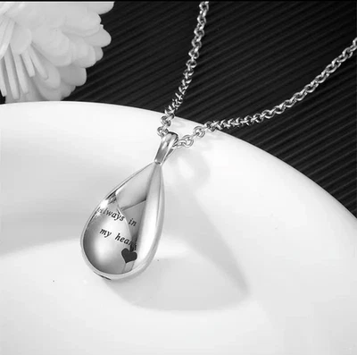 Asche Anhänger Urne Tierurne Gedenkschmuck Anhänger Kette Amulett Micro Urne - Bild 1 von 4