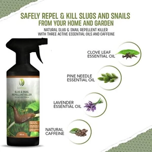 EcoWidow Slug and Snail Killer Repellent Spray 500ML Natural ⭐⭐⭐⭐⭐ - Picture 1 of 22