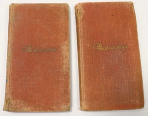 Antique Charles Dickens The Battle of Life & The Chimes Books Riverside Press H6 - Foto 1 di 18