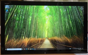 Sony VAIO Tap21 Core i5-4200 RAM 8GB 256GB SSD 512GB HDD from japan - Picture 1 of 10