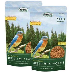 Getrocknete Mehlwürmer 22 lb. - Proteinreiche Insekten - Zuckergleiter, Huhn, Wildvogel - Bild 1 von 17