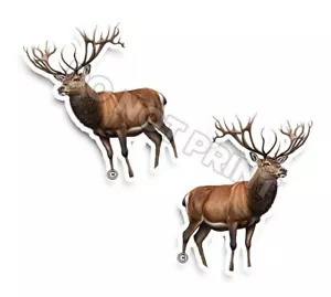 Pegatinas de vinilo BUCK clavo astas naturaleza excelentes calcomanías de animales al aire libre c35011 2 piezas - Imagen 1 de 2