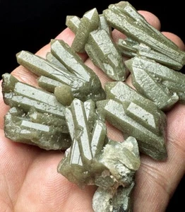 60g 7pcs Brand  Rare NATURAL skeletal Elestial Deep Green QUARTZ Crystal  r804 - Picture 1 of 6