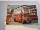London Transport Colour Bus Photograph AEC Regent RT KXW 203 Rte 89