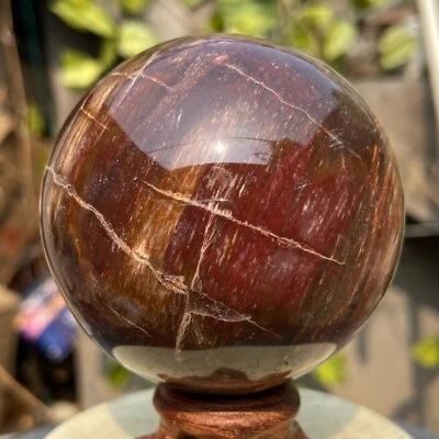 425g Natural petrified wood sphere Rough silicified wood ball specimen healing - Image 1 of 4