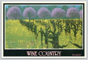 Postkarte Weinland Frühling Kalifornien - Gary Matthiesen - Bild 1 von 2