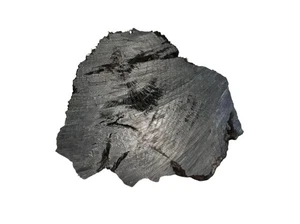 Big bog oak ,morta wood ,wood slices oak (5.12" x 4.33" x 0.79 "in) - Picture 1 of 5