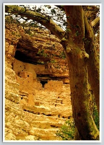 Postcard Arizona Montezuma Castle National Monument Cliff Dwellings 22C - Picture 1 of 2