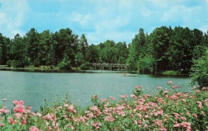Postal Callaway Gardens Pine Mountain Georgia 101472 T C Adams - Imagen 1 de 2