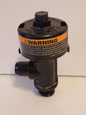 Pentair FNS  Clean & Clear Pool Filter Air Relief Valve Filter UsedPart 98209803 - Image 1 of 4
