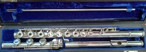 Solid Silver Commercial Verne Q Powell Open Holed flute with B foot and inline G - Picture 1 of 7