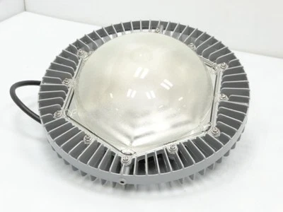 DIALIGHT LEULUC29DNWNGN LIGHT FIXTURE - Image 1 of 3