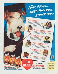 Print Ad Red heart Dog Food 1943 Terrier Scholar Teacher Full Page 10.5"x13.5" - Picture 1 of 1