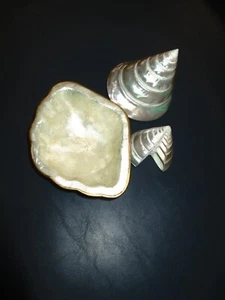 3 pc Pearlescent Sea Shell Items Spiral x 2 Soap Dish x 1 w gold rim - Picture 1 of 9