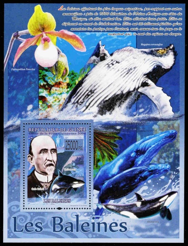 GUINEA REPUBLIC BL1524 - Whales of the World "Carlo Collodi" (pc33182) - Изображение 1 из 1