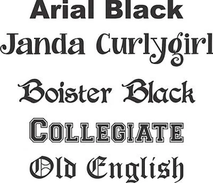 Large Custom Personalized Name Text Sign Window Car Truck Vinyl Decal Sticker - Picture 1 of 3
