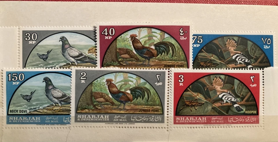 沙迦 #C28-C33 全新无标签,1965 年鸟类发行全套猫。 超值10.95美元 — 第 1/1 张图片