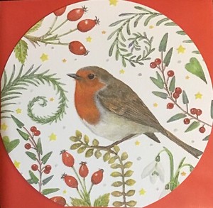 Charity Christmas card embossed ~ Robin & Floral Round Card ~ SINGLE ~ See Descr