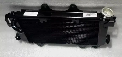 Radiador completo sin ventilador apto para el modelo Ktm Duke 390 Duke 250 2017-2020 Foto 1 de 4