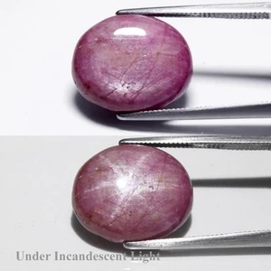 💎 14.49ct Oval Cabochon Purplish Red 6 Ray Star Ruby - Heated Glass Filling Gem - Picture 1 of 6
