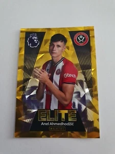 Pegatina Oficial Panini Premier League 2024 Holo ELITE Nº 543 Anel Ahmedhodzic Casi Nueva - Imagen 1 de 2