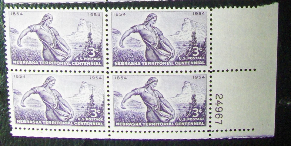 US 3¢ stamp SC #1060 Nebraska Territorial Centennial MNH 1954 plate block. - Image 1 of 1