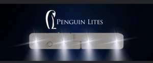 Set Of 4 Penguin Lites Floor Illuminating Motion Sensor Night Light W/ Batteries - Picture 1 of 21