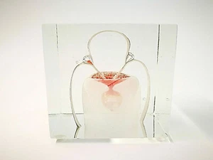 Oiva Toikka Annual Cube year 1985 Art Glass Nuutajärvi Iittala Finland! - Picture 1 of 5