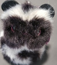 Pomsie Poos - Series 1 - Scout The Racoon - Purple Eye