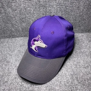 Washington Huskies Hat Cap Strap Back Mens One Size Purple Gray College Football - Picture 1 of 11