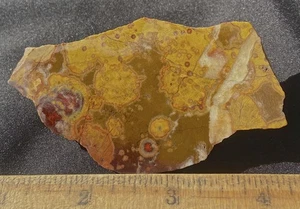 Rare Hornitos Jasper Orby Colorful Small Slab 32 Grams Mariposa California - Picture 1 of 6