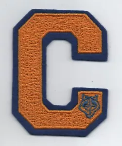 Toppa giacca Cub Scout Wolf lettera "C" 3,5" con retro slogan "Scout Stuff", come nuova! - Foto 1 di 2