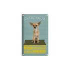 Blechschild 18x12 cm Chihuahua Hund bold confident Tiere & Haustiere