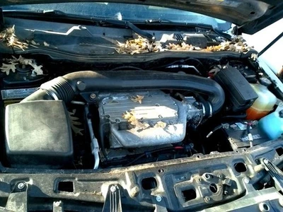 Grille Excluding Red Line Lower Fits 06-07 VUE 2662781 Foto 1 de 4