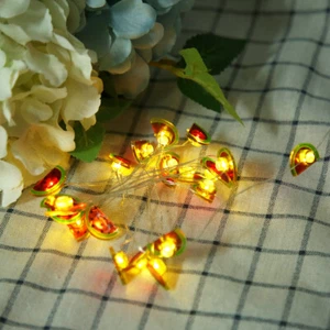 (Warm White)2m/6.6ft 20 LED Cute Watermelon Shaped Fairy String Light US AC - Picture 1 of 14